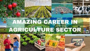 Career in agriculture